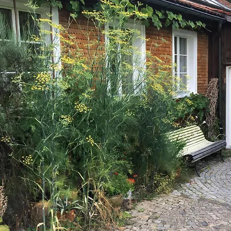 Apartment Brandholz